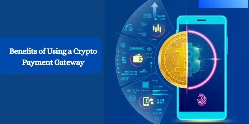 Crypto Payment Gateway Development